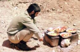 عکس/ املت در وضعیت قرمز