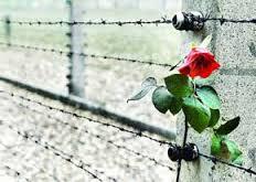 با گفتن یك جمله 4 نفر اسیر شدند!