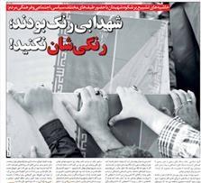  شهید بی رنگ شهید مطلوب شماست، نه شهدای انقلاب!