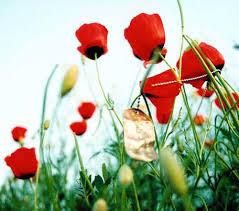 3200 فرزند شاهد و ایثارگر همدان متقاضی شغل هستند