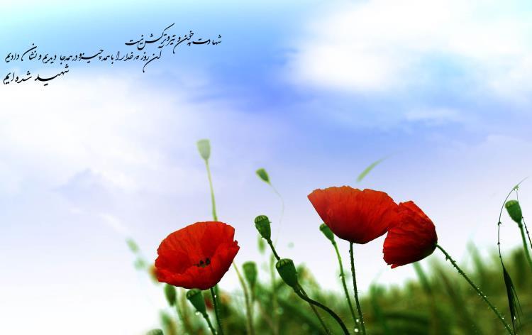 برگزاري يادواره 87 شهيد معلم و دانش آموز خراسان جنوبي