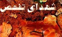 شهیدی که به حال مجروحیت دفن شده بود