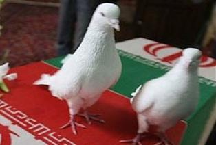 جايگاه شهادت در كلام شهيدان