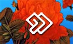 روایت زندگی سردار شهید محمد عبدالله در برنامه « از آسمان» 