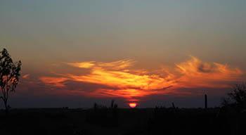 غروب دلتنگی 