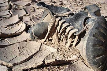 بگردید، پلاک و پای این شهید را پیدا کنید!