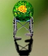 دیدار امام جمعه تبریز با جانبازنخاعی