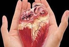 از اهدای اعضای بدن فرهنگی جانباز تا سفر بی بازگشت آقای مدیر