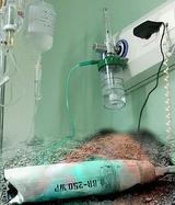 نفس‎هایشان به شماره افتاده است