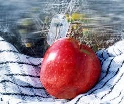 انتظار 30 ساله جانباز 70 درصد بجنوردی به سر رسید