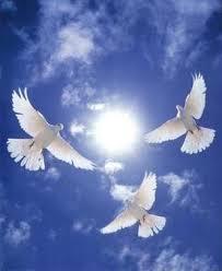 دو شهید عراقی که برای ایران جنگیدند 