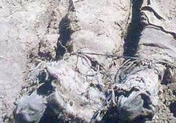 عکس/ زنده به گور کردن فرزند خمینی(ره)