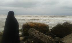 وقتی شهیدان نظر می کنند