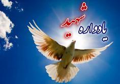 با شهدای جهاد دانشگاهی؛ شهید علی‌ اکبر همتی