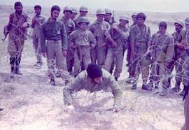 پیرمردی که از روی پیکر پسرش رد نشد