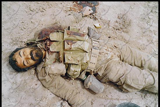 عکسی منتشر نشده از یک خواب شیرین