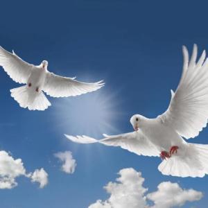 شهدا برای پاسداری از ارزش های دین، جان فدا کردند