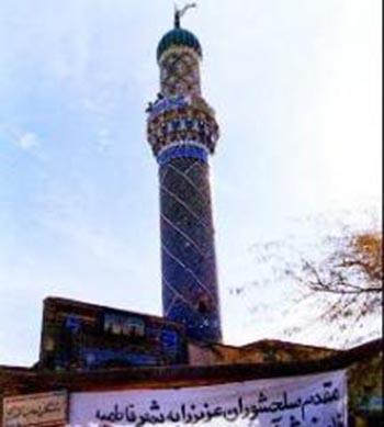 با دیدن پرچم سبز ثامن‌الائمه (ع) خستگی از تن‌مان بیرون می‌رفت