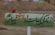 شش شهيد و دیگر هیچ!