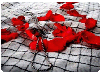 18 روز تمام جزو آمار شهدا بودم